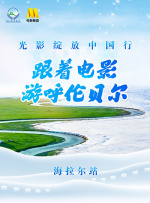 狠狠干天天干